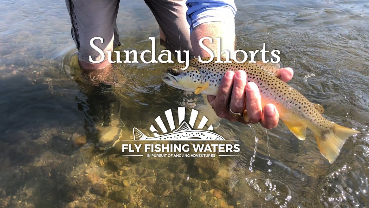 Fishing The Green River, Wyoming Video Clips, Sunday Shorts