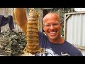 INDO TALES - EPISODE 25 Giant mantis shrimp catch and cook