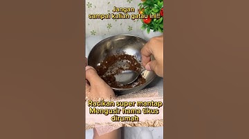 Racikan ampuh pengusir hama tikus #tipspraktis #shortvideo #diy