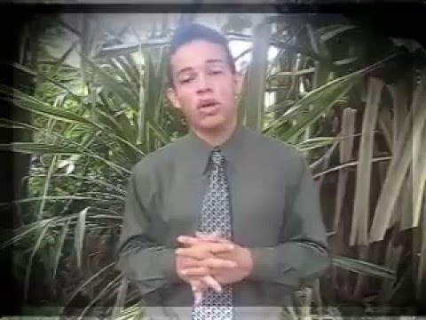 Mi Historia (Alex Orantes)