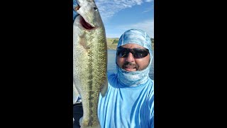 Jig vs Drop shot!!  Lake McClure challenge