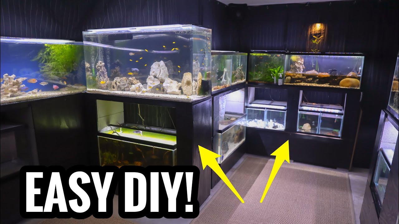 These are the BEST DIY Aquarium Stands! 