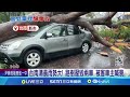 台南清晨雨勢大! 路樹壓毀兩車｜三立新聞網 SETN.com