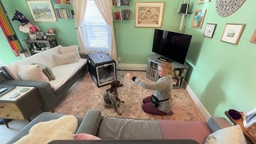 Stephanie Corbishley, Lesson 4, exercise 4.1 Shape a Head Dip, session 2