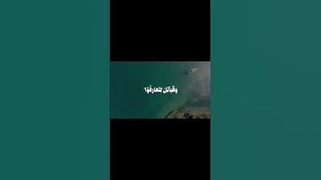 الشيخ محمد الليثي سورة الحجرات #قرآن #المصحف #اكسبلور