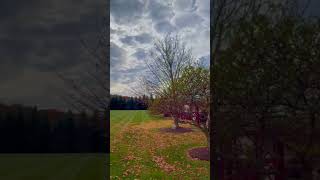 #midwest #Autumn vibes#naturelovers #beautifullandscapes