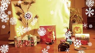 Emo Pet Emo Robot Merry Cubular Christmas