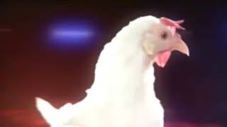 jgeco chicken song