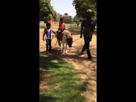 Dubai children city horse ride