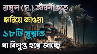 পৃথিবী থেকে হারিয়ে যাওয়া বিশেষ ১৮টি শুন্য, যা আজকে বিলুপ্তপ্রায়।