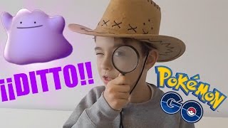 EN BUSCA DEL DITTO PERDIDO