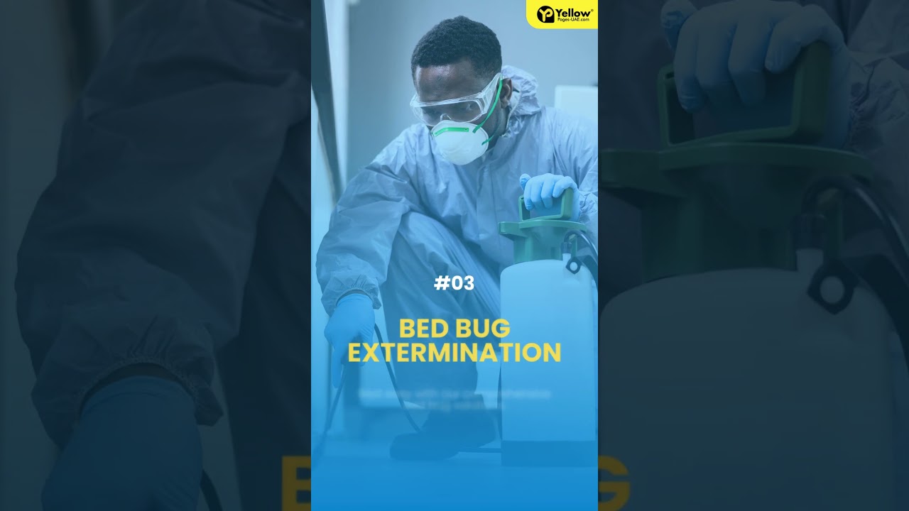 Pest Control Dubai | Pest Control Solutions in UAE | Yellow Pages UAE