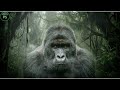 UGANDA SALVAJE: Adaptarse o Morir #animalessalvajes - Depredadores tierras salvajes