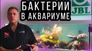 Фильтрация воды в аквариуме! Как фирма JBL видит эти процессы в аквариуме!