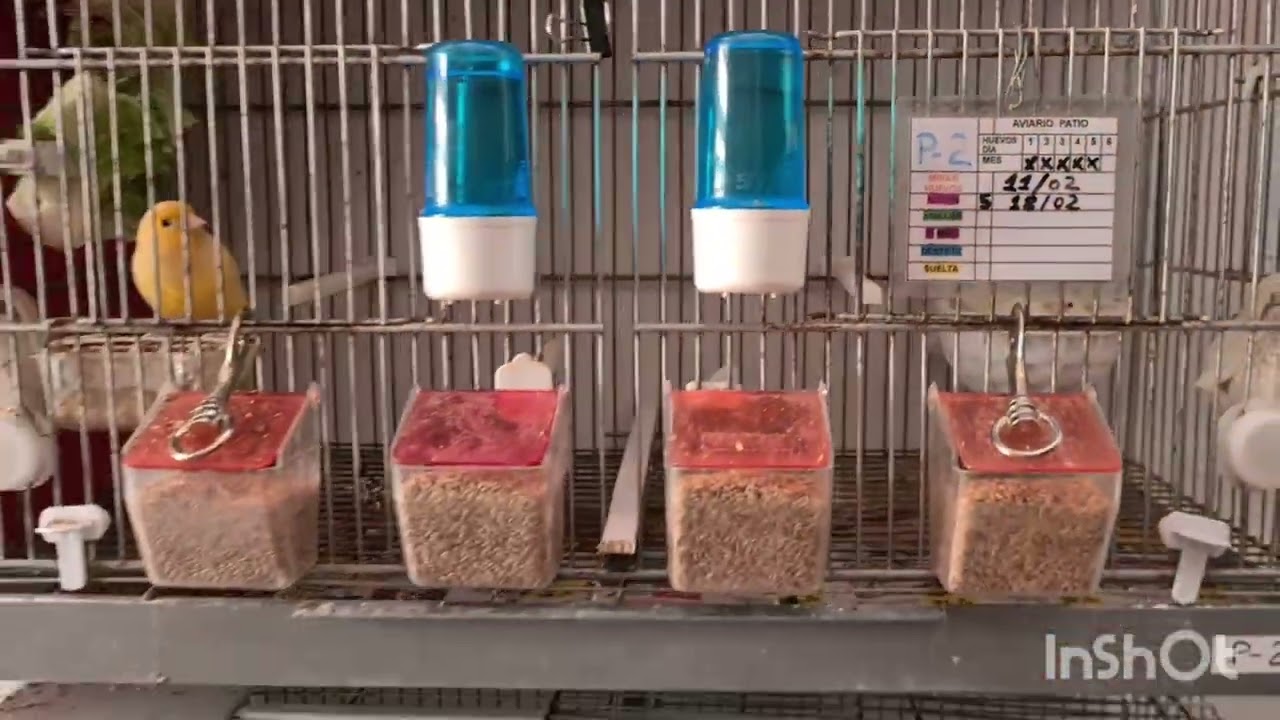 15/02/2026, MAS NACIMIENTOS??