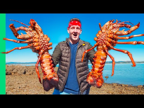Australia S GIANT Rock Lobsters Hand Caught Tasmanian Seafood