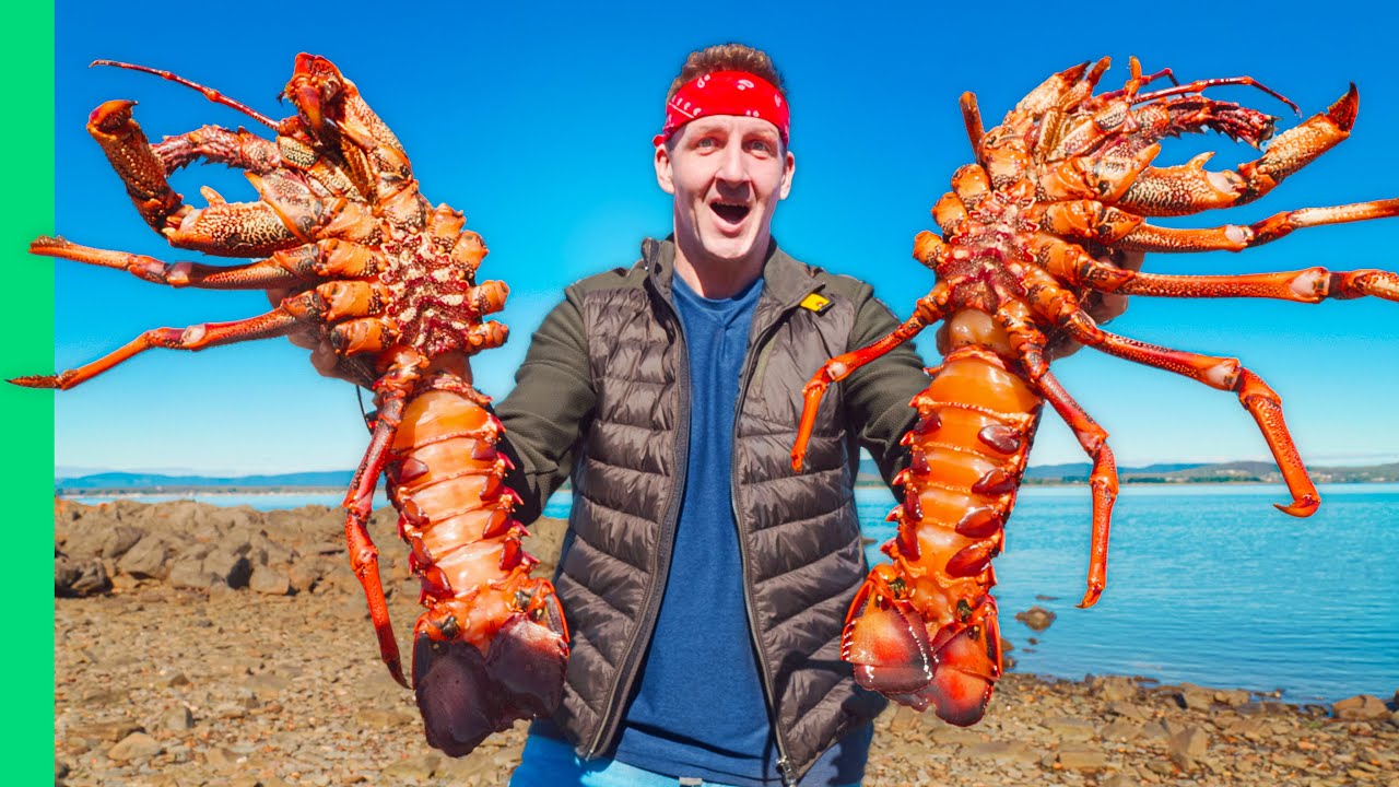 Australia’s GIANT Rock Lobsters!! Hand Caught Tasmanian Seafood!! - YouTube