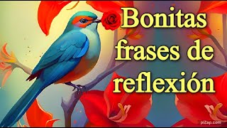 PODEROSAS Frases de REFLEXION, reflexiones, mensaje, motivación, reflexiones de la vida