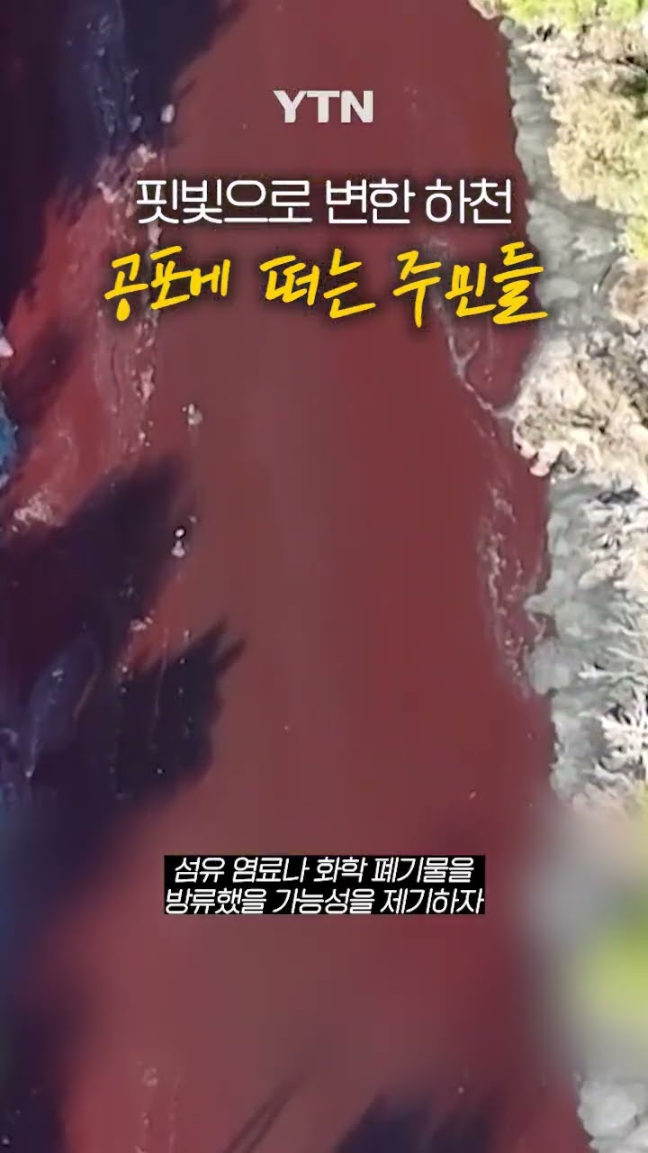 핏빛으로 변한 하천 #shorts / YTN