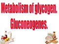 9:50-11:30 Metabolism of glycogen.Gluconeogenes.