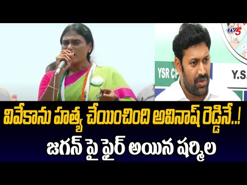 వివేకాను హత్య చేయించింది అవినాష్ రెడ్డినే..! YS Sharmila Sensational Comments ON YS Jagan | TV5 News - TV5NEWS