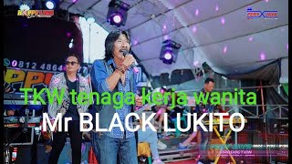 Download Lagu TKW ( Tenaga kerja wanita) - Mr BLACK LUKITO - HAPPY LOSS MUSIK - WEDDING AGUNG \u0026 MITHA MP3 Download Lagu TKW ( Tenaga kerja wanita) - Mr BLACK LUKITO - HAPPY LOSS MUSIK - WEDDING AGUNG \u0026 MITHA MP3