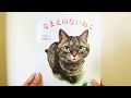 絵本【なまえのないねこ】読み聞かせ