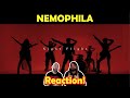 Musicians react to hearing NEMOPHILA / Night Flight [Official Music Video]