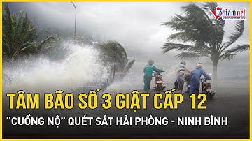 Báo động khẩn: Tâm bão số 3 Wipha giật cấp 12 “cuồng nộ” quét sát Hải Phòng- Ninh Bình, mưa cực đại