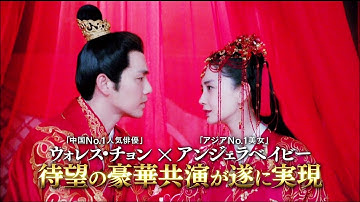 【予告編】孤高の花～General＆I～