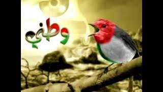 أناشيد اخي سوف تبكي عليك العيون بدون موسيقى محزن ومؤثر