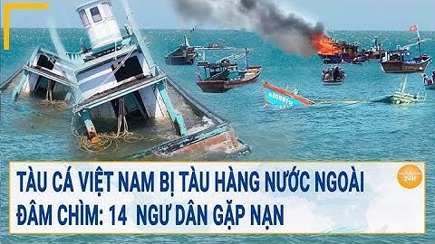 Tàu cá Việt Nam bị tàu hàng nước ngoài đâm chìm: 14  ngư dân gặp nạn