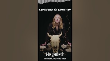 Megadeth - Countdown to Extinction (Instrumental Cover)