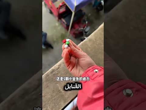 لقد خلعت أبي برمي القنابل 