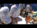 2016 Los Cabos Billfish Tournament | Team Tranquilo | Blue Marlin