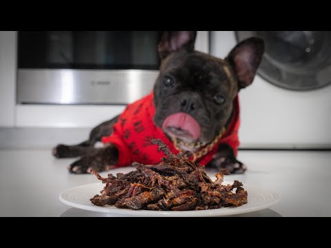 वीडियो: कैसे ओवन में सूखे सब्जियों के साथ प्राकृतिक कुत्ता व्यवहार करने के लिए