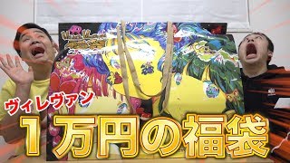 【大当たり】ヴィレッジヴァンガード１万円の福袋開けたら、き…きたぁぁぁ！