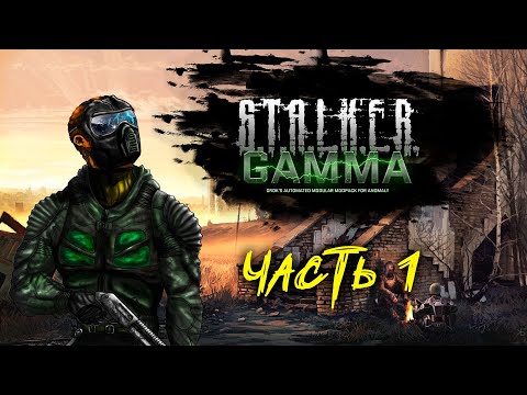 Видео: СТРИМ по S.T.A.L.K.E.R. Anomaly GAMMA! (Часть 1) Как не стоит выживать в ЧЗО =D