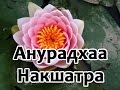 Секреты накшатр - Анурадха Накшатра