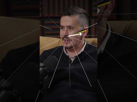 Istina O Ravnogorskim Skupovima Devedesetih Ravnagora Cetnici Udba