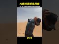 暴曬缺水迷路，中國第四大沙漠求生！一天一夜的撐死人！ #美食 #做飯 #中餐 #家常菜 #菜譜