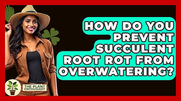 How Do You Prevent Succulent Root Rot From Overwatering? - The Plant Enthusiast