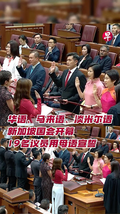 华语、马来语、淡米尔语 新加坡国会开幕 19名议员用母语宣誓 #singapore #sg #chinese #tamil #malay #parliament #singaporelife