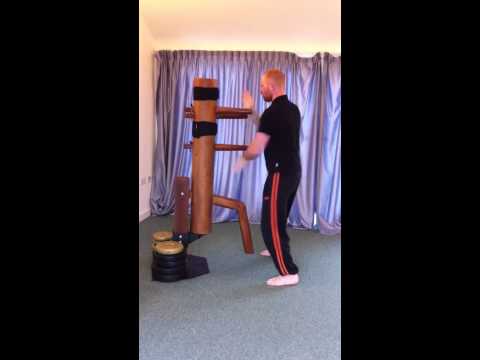 Ip Man Wing
