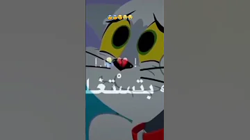يا رجوله شدي صحبي حبى حبيبتي 