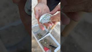 Beach Cleanup! Found Trash, Treasures, Toys &amp; Surprises #treasuresearch