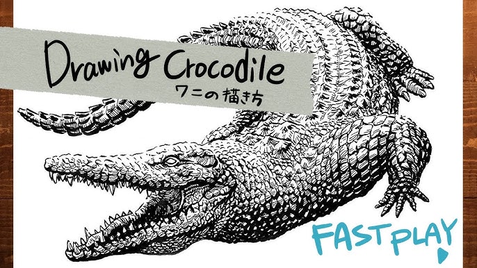 筆のイラスト 描き方 絵の上達法を実演解説 ワニ How To Draw Alligator Youtube