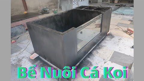 Bể Nuôi Cá Koi 🐬 (200×100×75)  Nhựa nguyên khối + kính siêu trong