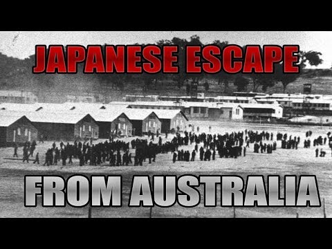 The Biggest Prisoner Of War Breakout Of WWII [Escape From Paradise]