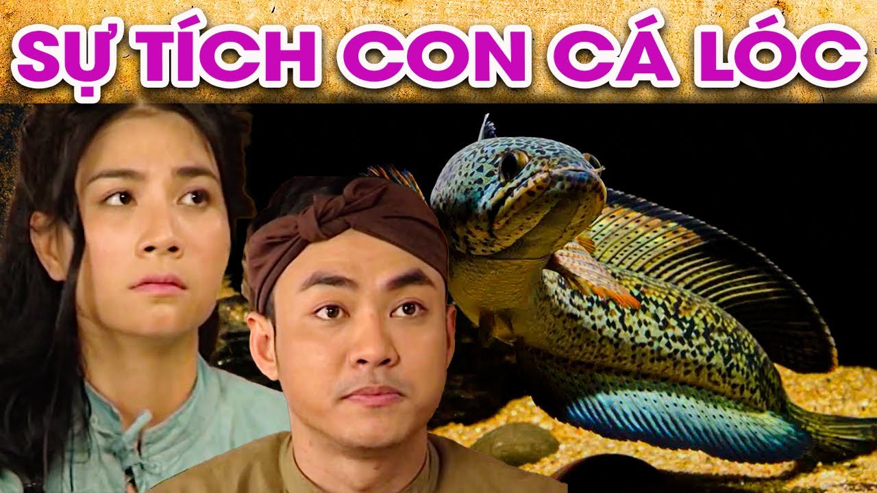 SỰ TÍCH CON CÁ LÓC | SỰ TÍCH VIỆT NAM MỚI NHẤT 2022 | PHIM SỰ TÍCH HAY ...